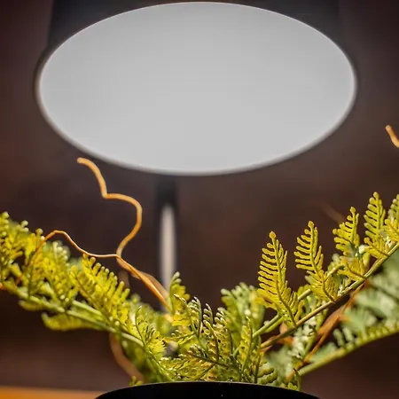 Apartment Vyld: Inmitten Der Berge