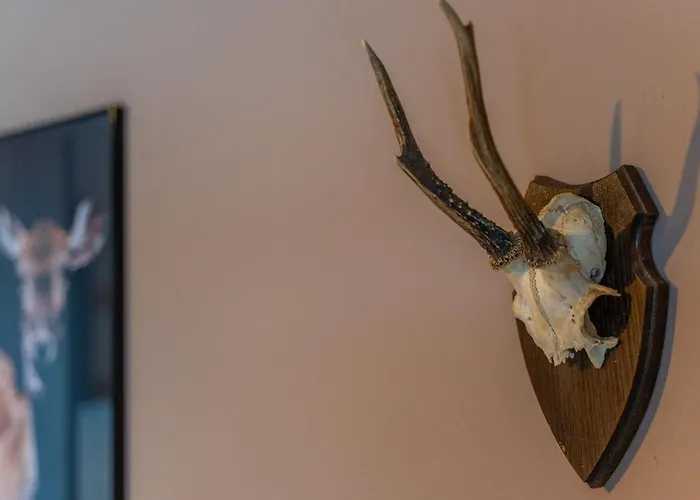 Vyld: Inmitten Der Berge Apartment