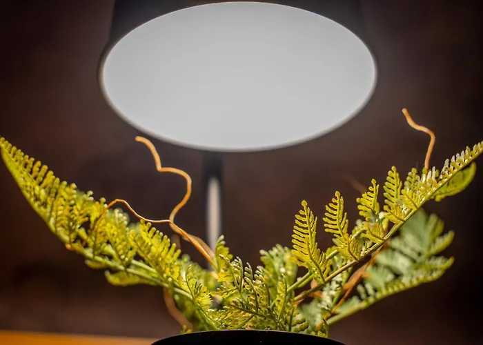 Apartment Vyld: Inmitten Der Berge